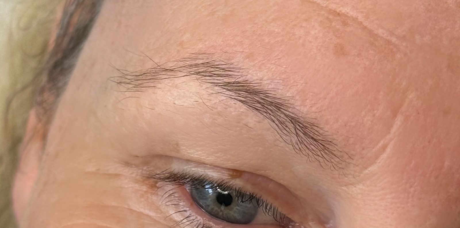 Before, sparse fair brows